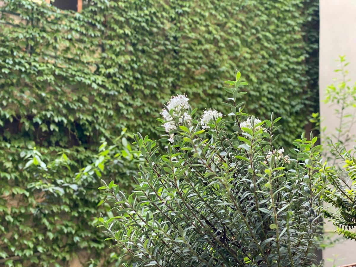 Hotel Blissdom Tbilisi Exterior foto